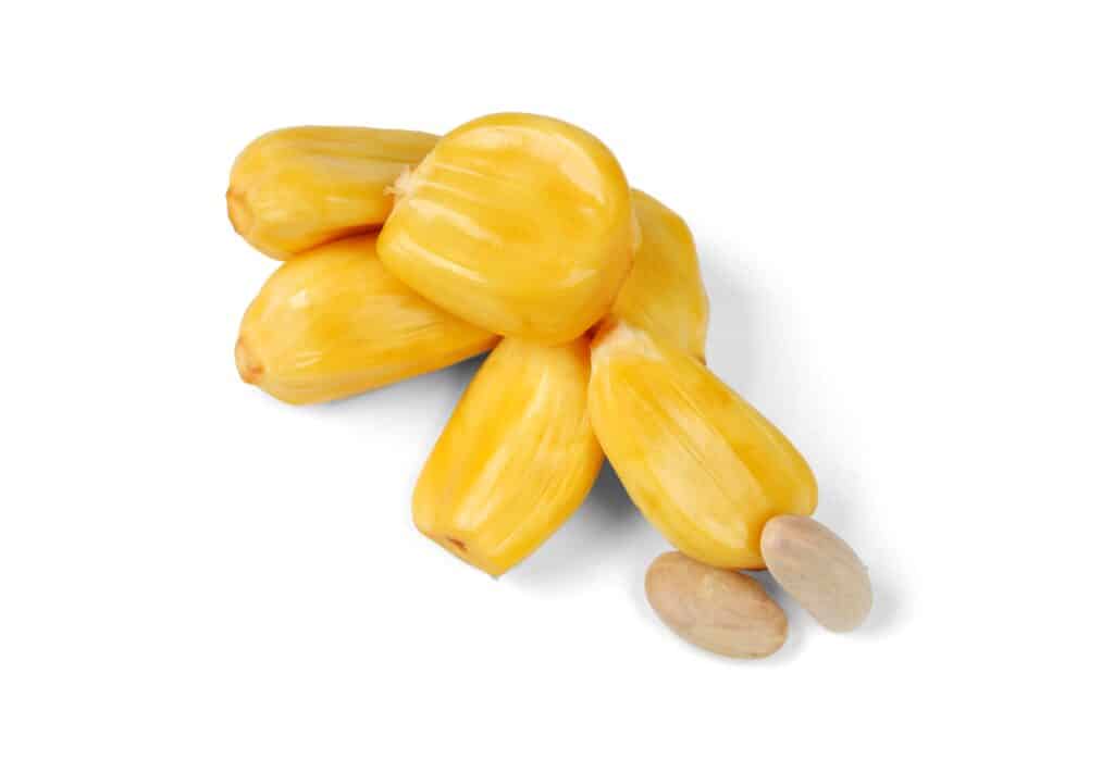 Tout ce que vous devez savoir sur le jacquier : préparation, recettes et bienfaits 5 Fruit du jacquier (Artocarpus heterophyllus) isolé sur un fond blanc.